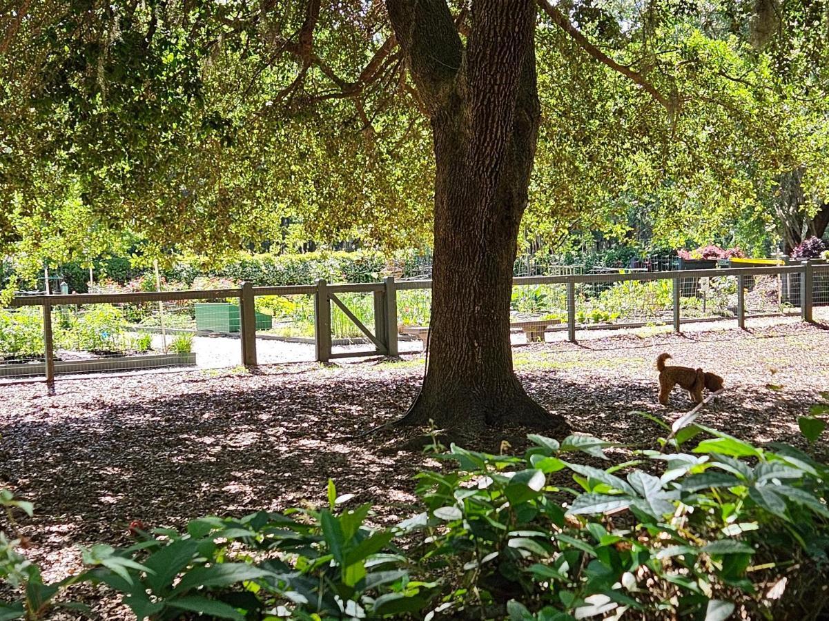 Low Country Cottage In Beautiful Habersham Beaufort Extérieur photo
