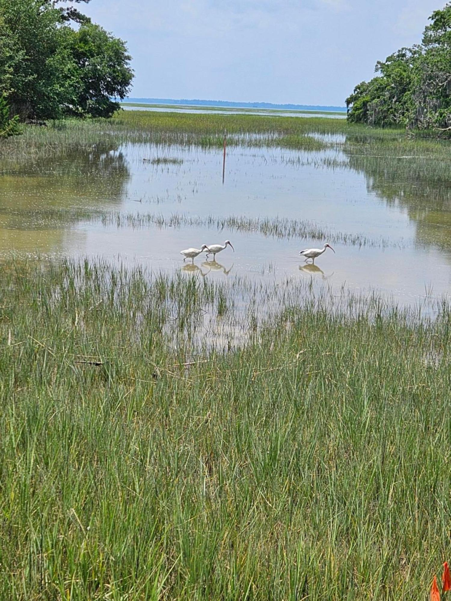 Low Country Cottage In Beautiful Habersham Beaufort Extérieur photo